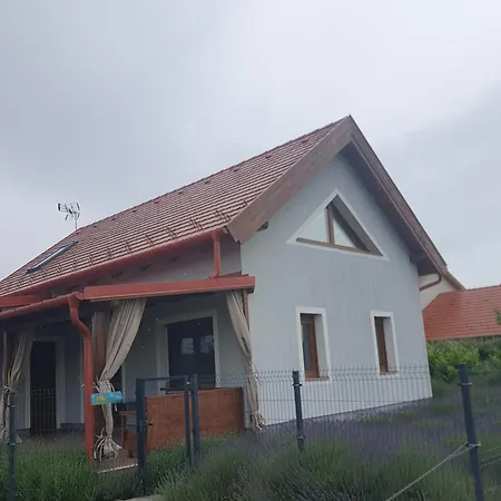 Arvalanyhaj Vendeghaz 鲍洛托瑙考利