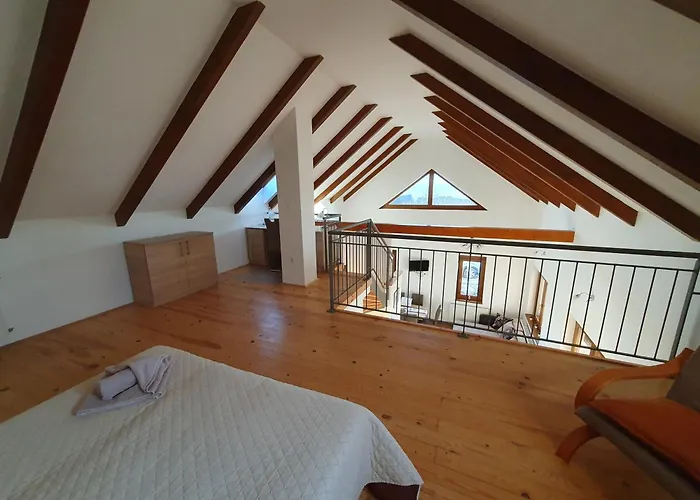 Arvalanyhaj Vendeghaz 鲍洛托瑙考利