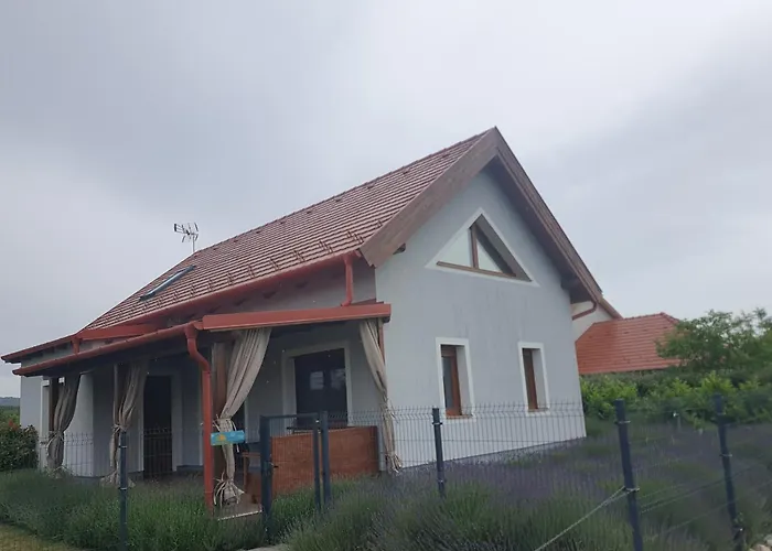 Arvalanyhaj Vendeghaz 鲍洛托瑙考利